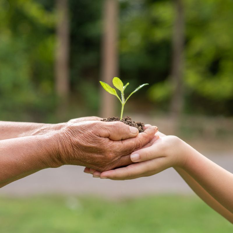 Respectueux de l’environnement
