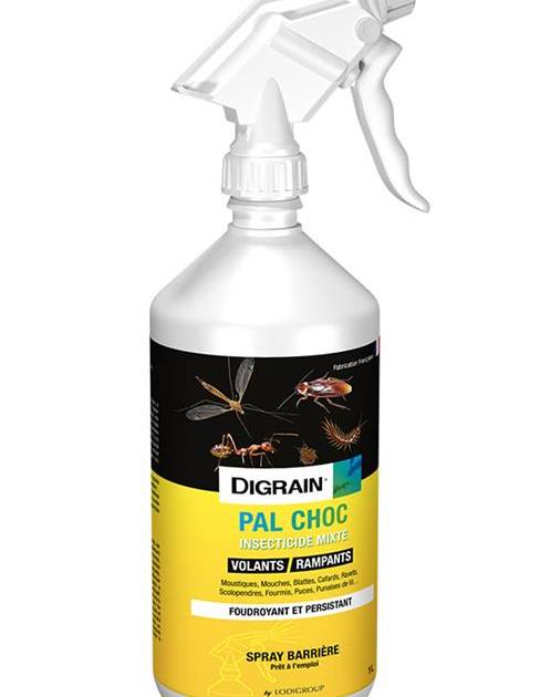 I-Grande-11266-digrain-pal-choc-1l.net